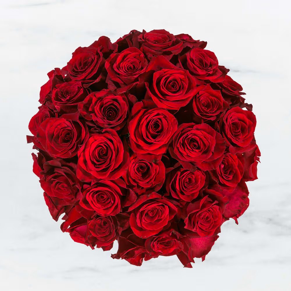 Three Dozen Red Roses